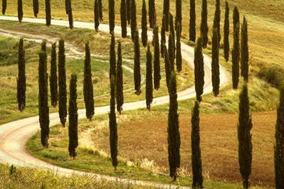 Tuscany Package Vacations Blog