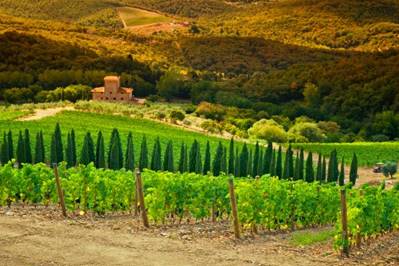 Tuscany Wine Experience