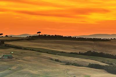 Tours & Excursions